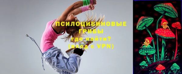 спайс Пролетарск