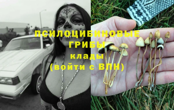 ALPHA-PVP Покровск