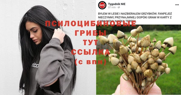 ALPHA-PVP Покровск