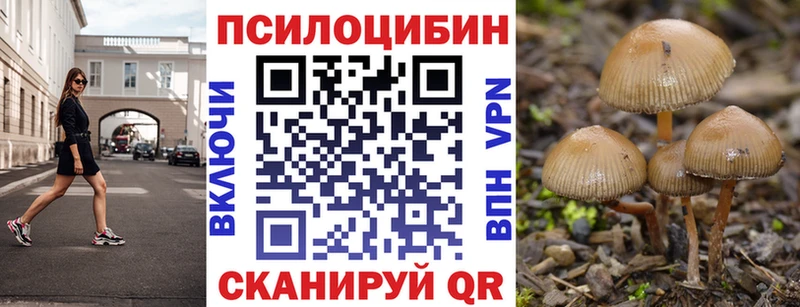 Галлюциногенные грибы мухоморы  Абаза 